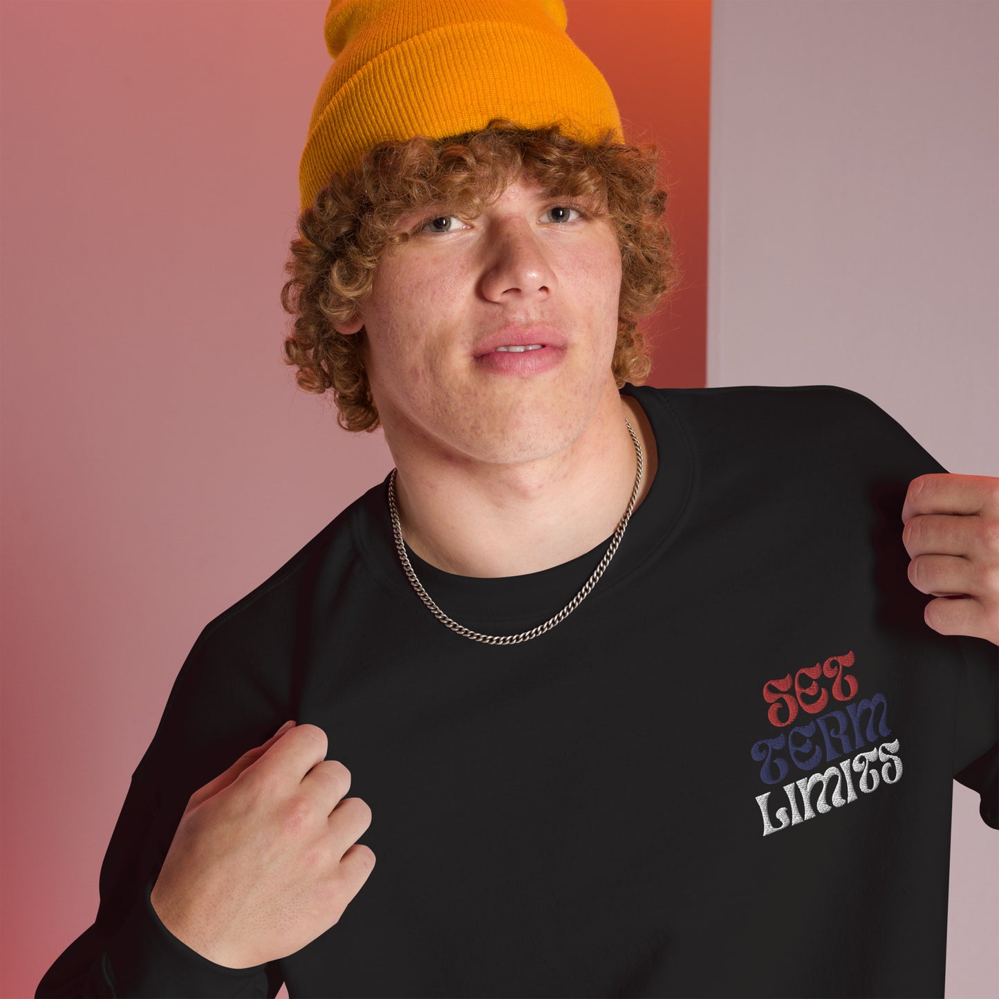 Set Term Limits Sweatshirt