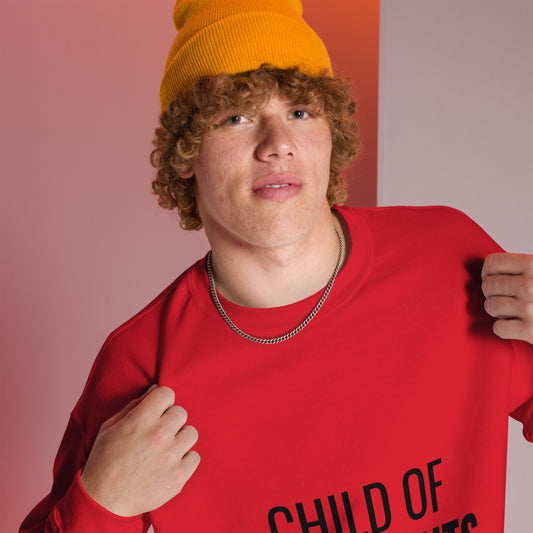 Child of Immigrants Sweatshirt